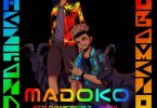 Stilo Magolide – Madoko ft. Kwesta