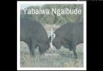 Download Tocky Vibes Yabaiwa Ngaabude MP3 Download