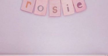 Download Christina Perri Roses In The Rain Lullaby Mp3 Download