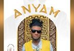 Download Sparkle Tee Anyam MP3 Download