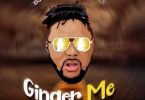 Download DJ Baddo Ginger Me Ft Portable MP3 Download